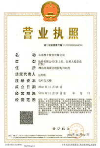 山東雅士營業(yè)執(zhí)照